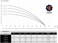 Tiefbrunnenpumpe STM20 3" Sandverträglich; 1100 Watt; 6000l/h 7,7 Bar